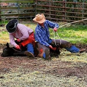 Meet your Posher, Mateo